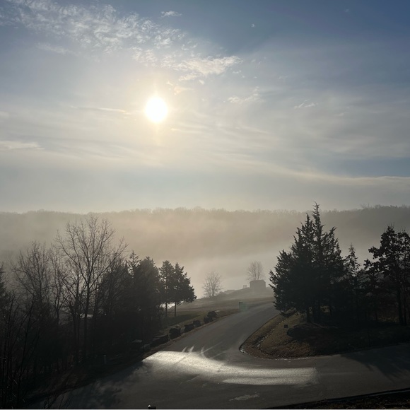 Meet your Posher, Linda - Picture 3 of 3